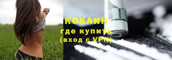 гидра Абаза