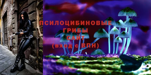 ALPHA-PVP Алексеевка