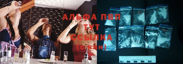 СК Абинск