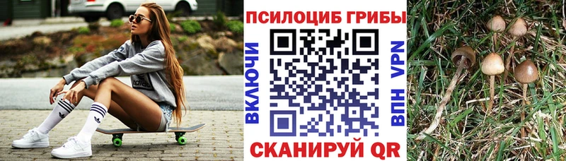 сколько стоит  Заволжье  Галлюциногенные грибы Magic Shrooms 