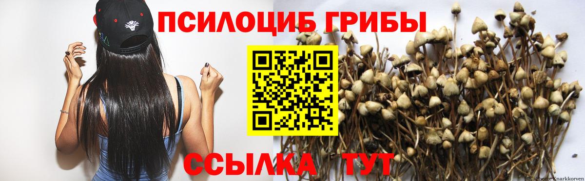 Заволжье  Псилоцибиновые грибы Cubensis  Вход с VPN 