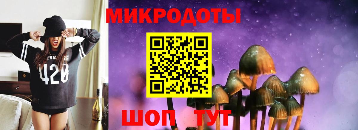 Псилоцибиновые грибы Cubensis Заволжье